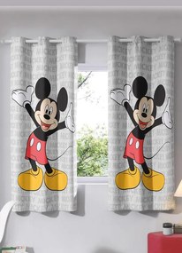 Corta Luz Mickey Slim 240x170 cm