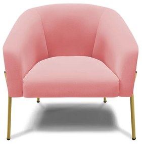 Poltrona Decorativa Pé de Ferro Dourado Kit 2 Stella Suede D03 - D'Rossi - Rose