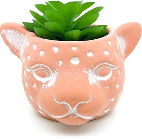 Vaso com Planta Cabeça Onça Barro - Pequeno