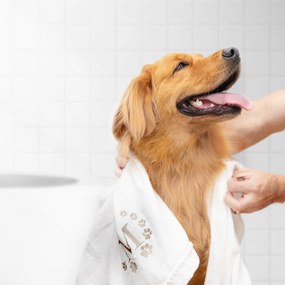 Toalha Para Pet 100% Algodão Sottile Casa -