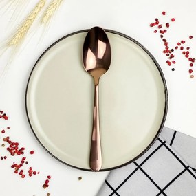 Kit 6 unidades - Colher de Mesa em inox - Bronze