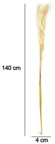 Pluma Capim dos Pampas Seco Artificial 140 cm Natural - D'Rossi