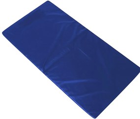 Colchonete Para Visita D26 180X60X4 Dobrável Orthovida - Azul