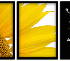 Kit 03 Quadros Decorativos "Motivação" 43x33 cm  - D'Rossi