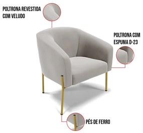 Cadeira Sala de Jantar Pé de Ferro Dourado kit 2 Stella Veludo D03 - D'Rossi - Cinza