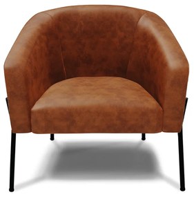 Poltrona Decorativa Pé de Ferro Preto Stella Sintético PU D03 - D'Rossi - Nozes