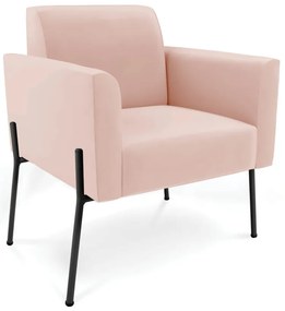 Poltrona Pé de Ferro Preto para Sala Kit 2 Marisa Veludo D03 - D'Rossi - Rose