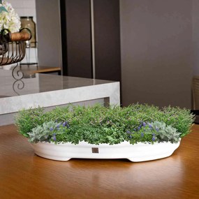 Vaso Bacia Decorativo Osaka Branco P 7x46x35 cm - D'Rossi
