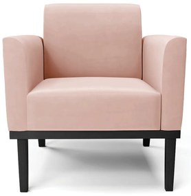 Kit 2 Poltronas Base de Madeira Fixa Preto Marisa Veludo - Rose