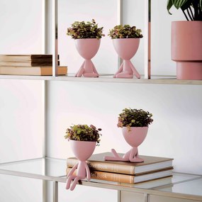 Vaso Decorativo Bob Robert Plant em Poliresina Rosa 14,5x11x12 cm - D'Rossi