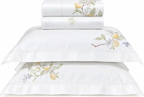 Jogo de Cama Trussardi Bambu 300 Fios Aurabella  Casal