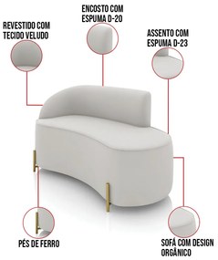 Sofá 2 Lugares Orgânico 140cm Pé Dourado Morgan Veludo D03 - D'Rossi - Cinza