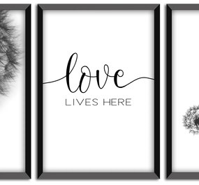 Kit 03 Quadros Decorativos "Love Lives" 43x33 cm - D'Rossi