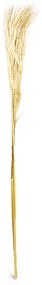 Pluma Capim dos Pampas Seco Artificial 140 cm Natural - D'Rossi