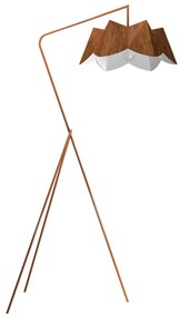Coluna Accord Physalis -