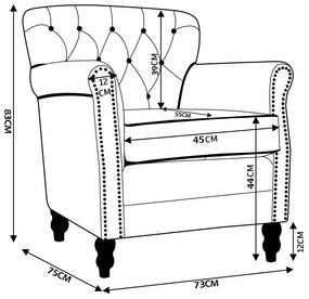 Kit 02 Poltronas Decorativas Sala de Estar Níger Pés Príncipe Couro Mel G58 - Gran Belo