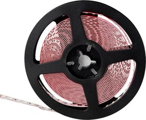 Fita Led 10w Por Metro 12v 6500k 5m Irc80 Value