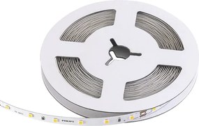 Fita De Led 6W Por Metro 560Lm 24V 5 Metros - LED BRANCO FRIO (6500K)