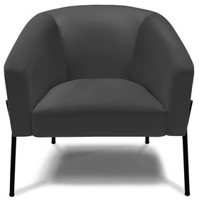 Poltrona Decorativa Pé de Ferro Preto Kit 2 Stella Sintético D03 - D'Rossi - Preto