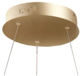 Pendente Montreal Aro Ø40X2Cm Led 20W 3000K Bivolt / 01 Anel Dourado |... (Dourado)