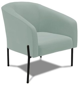 Poltrona Decorativa Pé de Ferro Preto Stella Cotelê Int/Veludo D03 - D'Rossi - Menta