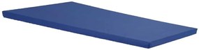 Colchonete Para Visita 180 X 60 X 3 Cm Confort Clean Orthovida (Azul)