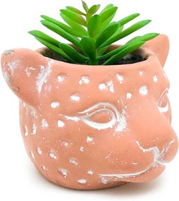 Vaso com Planta Cabeça Onça Barro - Pequeno