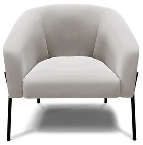 Poltrona Decorativa Pé de Ferro Preto Stella Veludo D03 - D'Rossi - Cinza