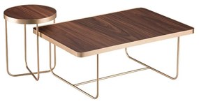 Mesa de Centro Lumière Design Retangular e Redondo Conjunto Tampo Acabamento Pau Ferro Estrutura Aço Carbono Pintura Epóxi