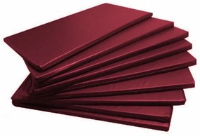 Kit 10 Colchonetes Orthovida 90X42X2Cm | Para Ginástica, Academia E Yo... (Roxo)