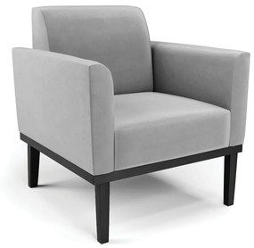 Poltrona Base de Madeira Fixa Preto Marisa Suede D03 - D'Rossi - Cinza