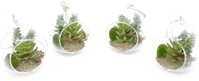 Kit 04 Flor Suculentas com Vaso para Pendurar Suspenso 11 cm F04 - D'Rossi