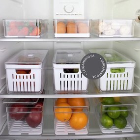 Kit Organizadores de Geladeira Clear Fresh + Brinde