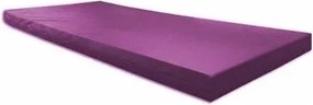 Colchonete / Colch�O Para Visita D33 180X60X7Cm