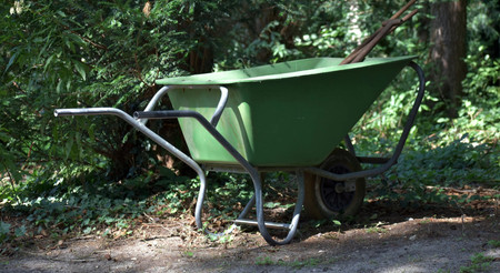 Ogród jak u profesjonalistów. Wystarczy odpowiedni sprzęt