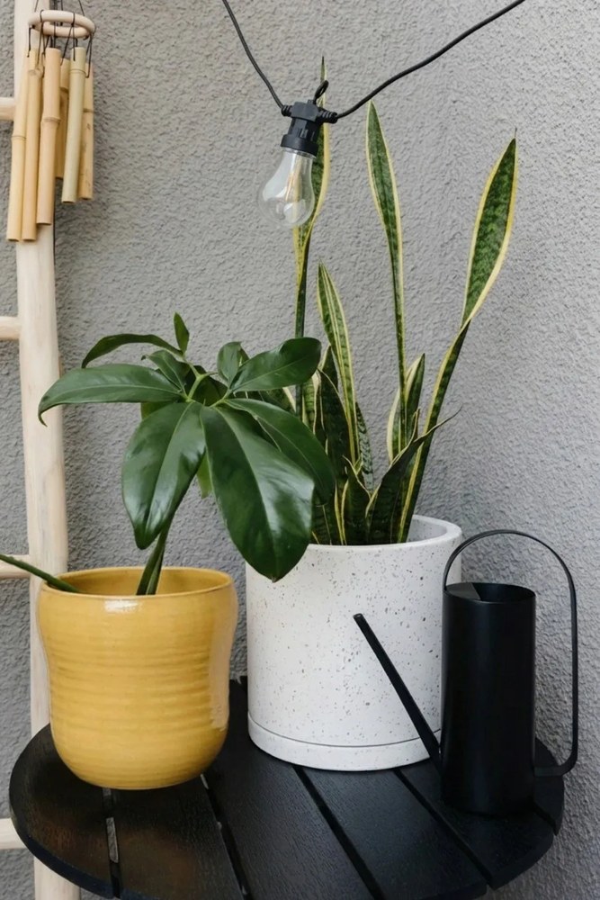 Bambusowe dzwonki wietrzne Esschert Design Bamboo