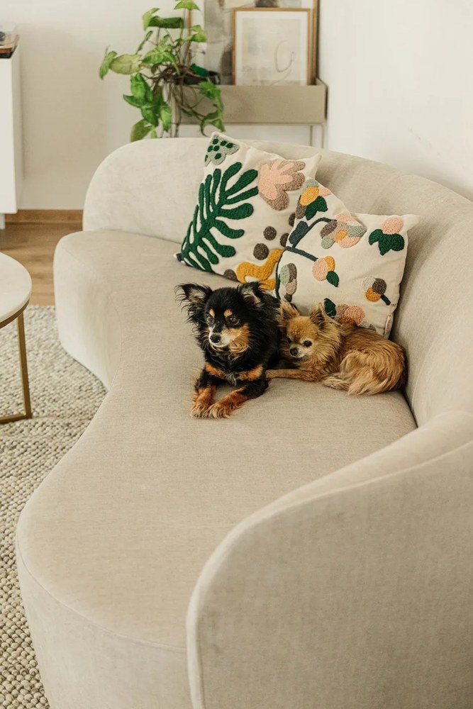 Jasnoszary dywan z mieszanki wełny tkany ręcznie 160x230 cm Minerals – Flair Rugs