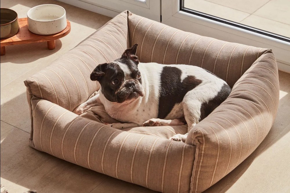 Ceramiczne miski dla psa zestaw 2 szt. Dumbi – Kave Home