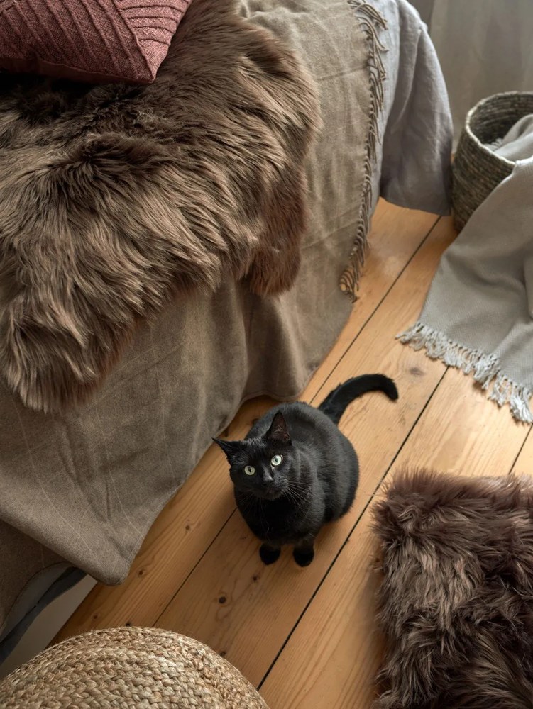 Brązowa sztuczna skóra Tiseco Home Studio Fox, 50x80 cm