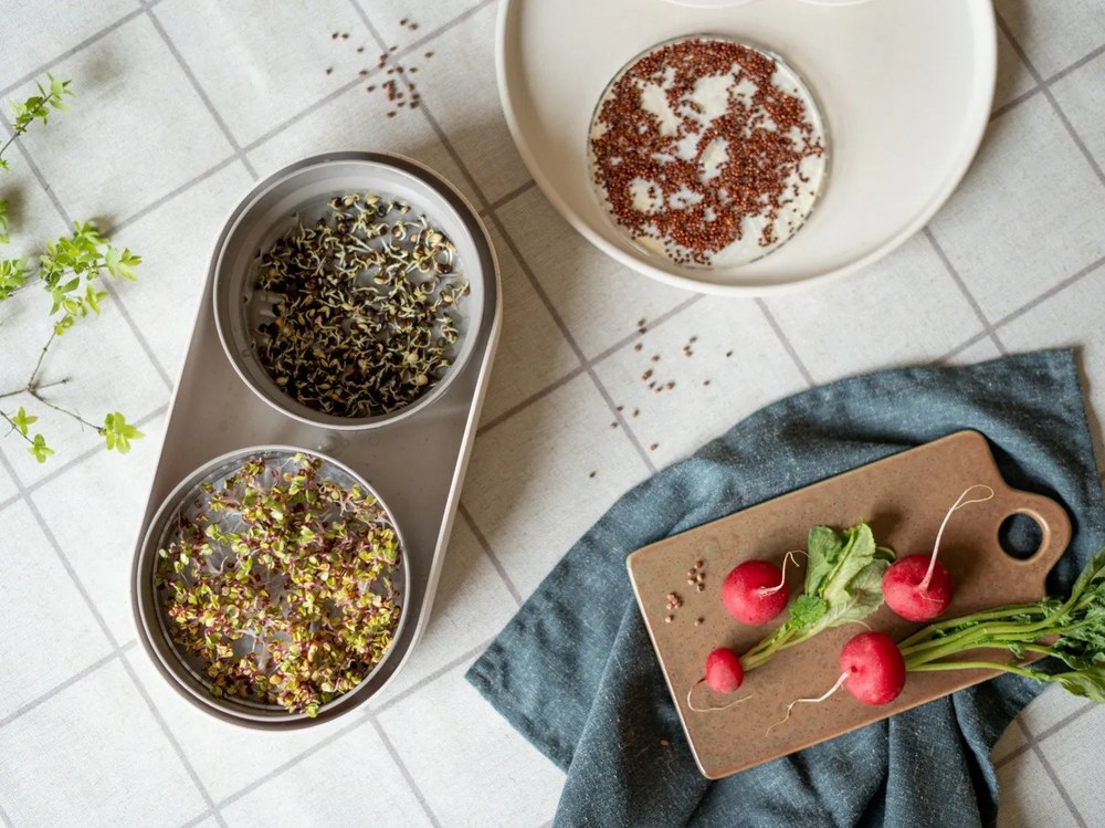 12-częściowy zestaw kremowych naczyń z kamionki Bonami Selection Malia