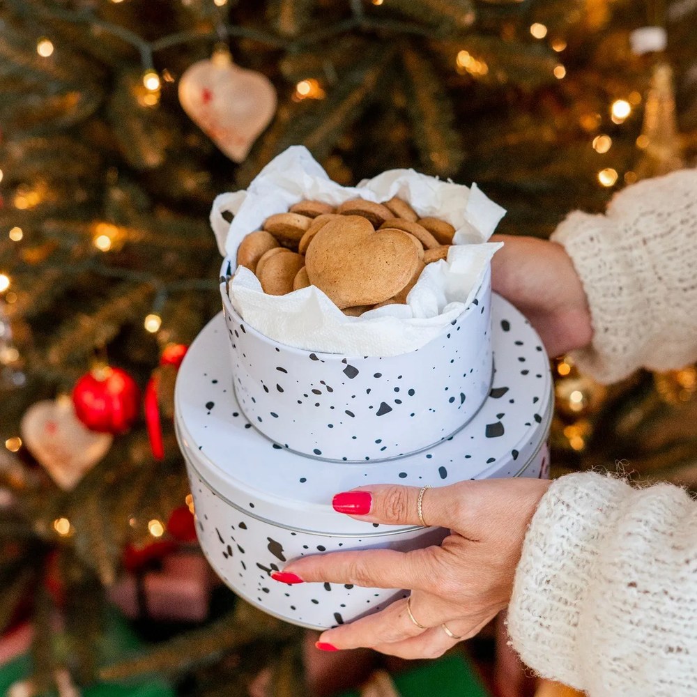 Metalowe pojemniki na żywność 3 szt. na ciasta Speckled – Premier Housewares