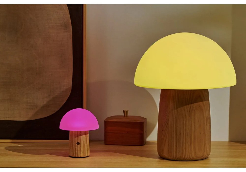 Naturalna lampa stołowa ze ściemniaczem i szklanym kloszem (wys. 32 cm) Alice – Gingko