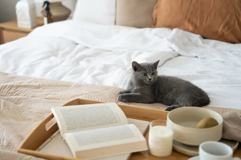 18-częściowy zestaw kremowych naczyń z kamionki Bonami Selection Malia