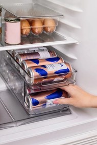 Plastikowy organizer na jajka do lodówki 23x17,5 cm – Casa De Engel