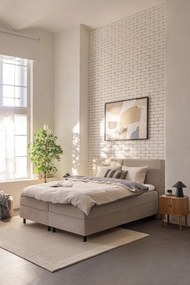 Beżowy dywan wełniany 230x160 cm Rue – Flair Rugs