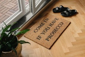 Wycieraczka z włókna kokosowego 40x60 cm Prosecco – Artsy Doormats