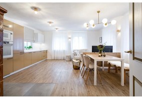 Lampa wisząca w kolorze mosiądzu ze szklanym kloszem Damar – Opviq lights