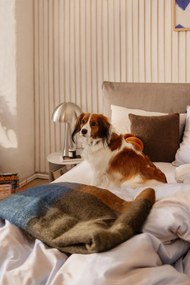 Ciemnoszara lampa stołowa LED ze ściemniaczem (wysokość 20 cm) Mush – Hübsch