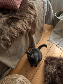 Brązowa sztuczna skóra Tiseco Home Studio Fox, 50x80 cm