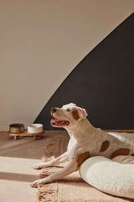 Ceramiczne miski dla psa zestaw 2 szt. Dumbi – Kave Home